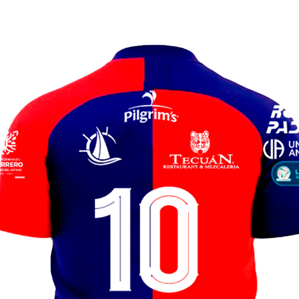 Avispones de Chilpancingo - Local