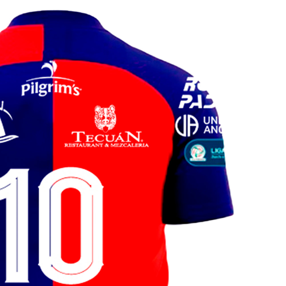 Avispones de Chilpancingo - Local