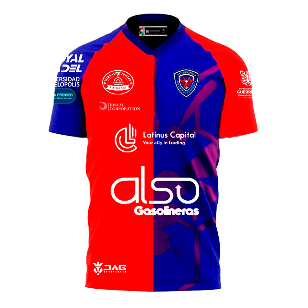 Avispones de Chilpancingo - Local