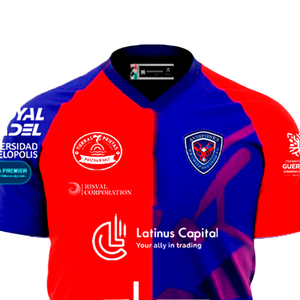 Avispones de Chilpancingo - Local