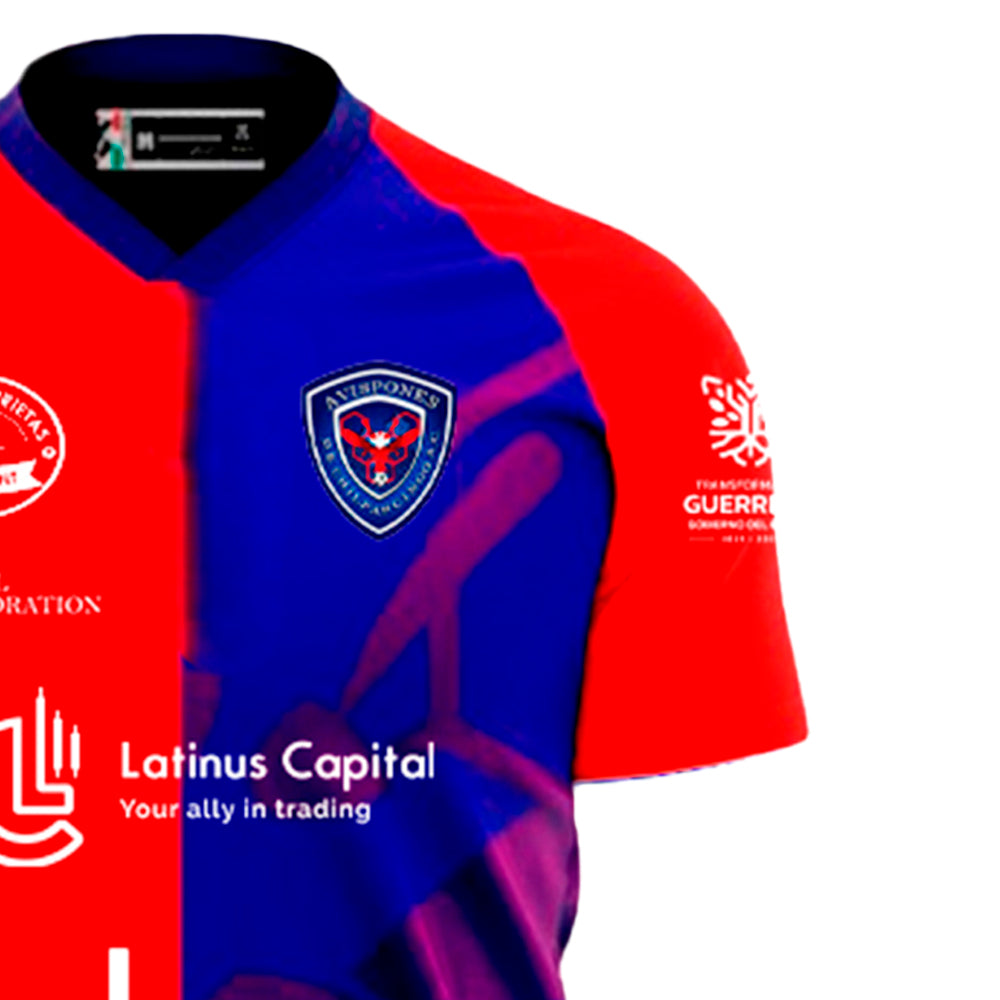 Avispones de Chilpancingo - Local