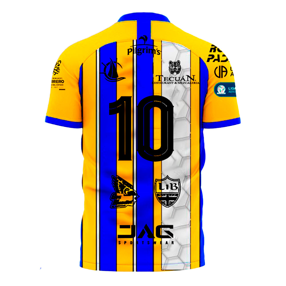 Avispones de Chilpancingo - Visitante