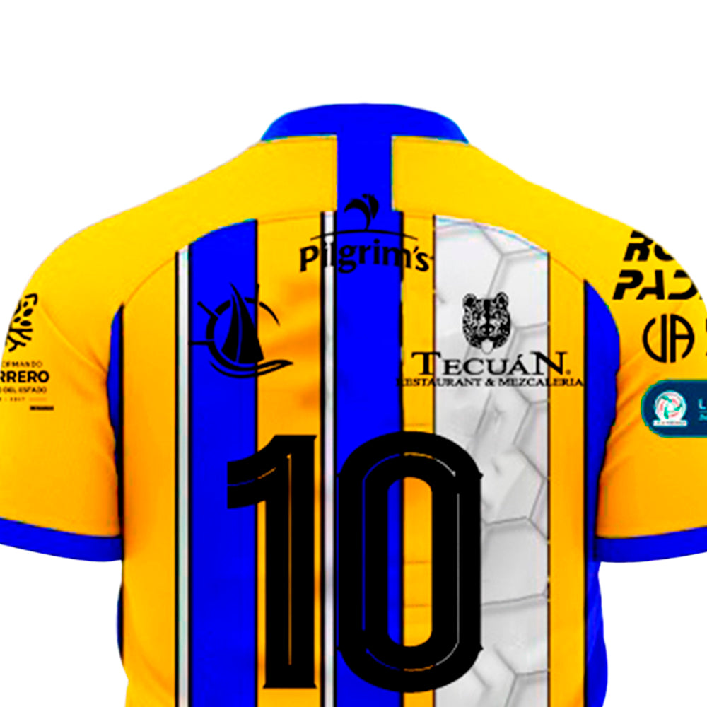 Avispones de Chilpancingo - Visitante