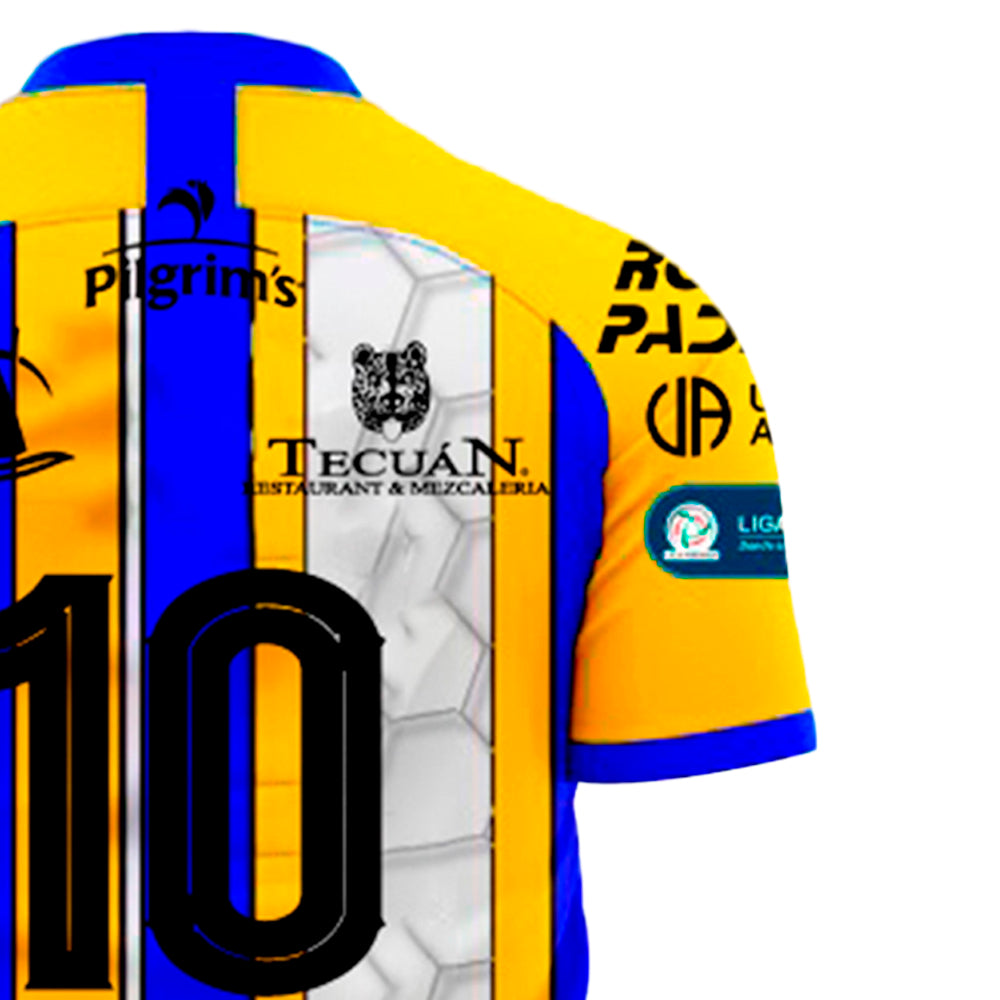 Avispones de Chilpancingo - Visitante