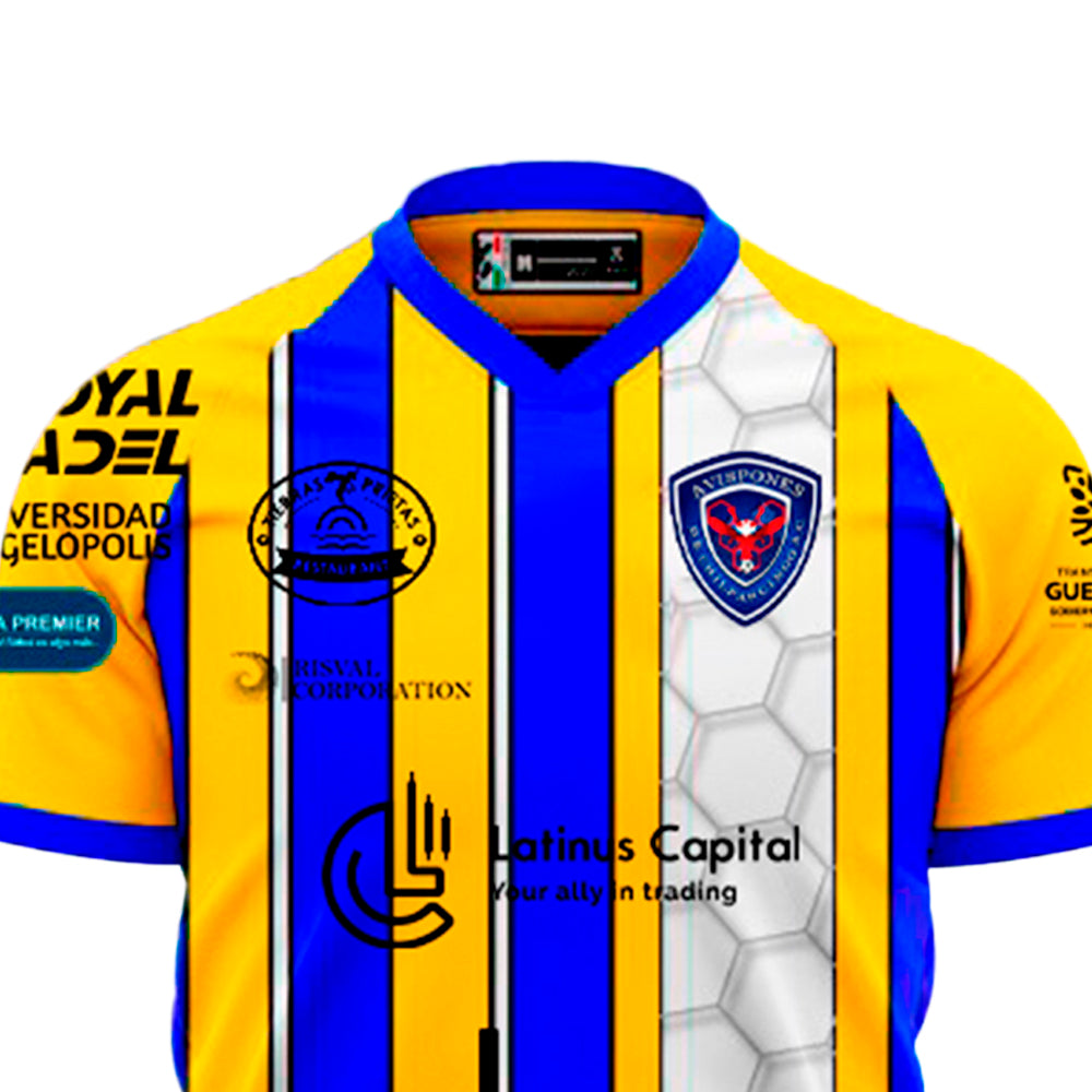 Avispones de Chilpancingo - Visitante