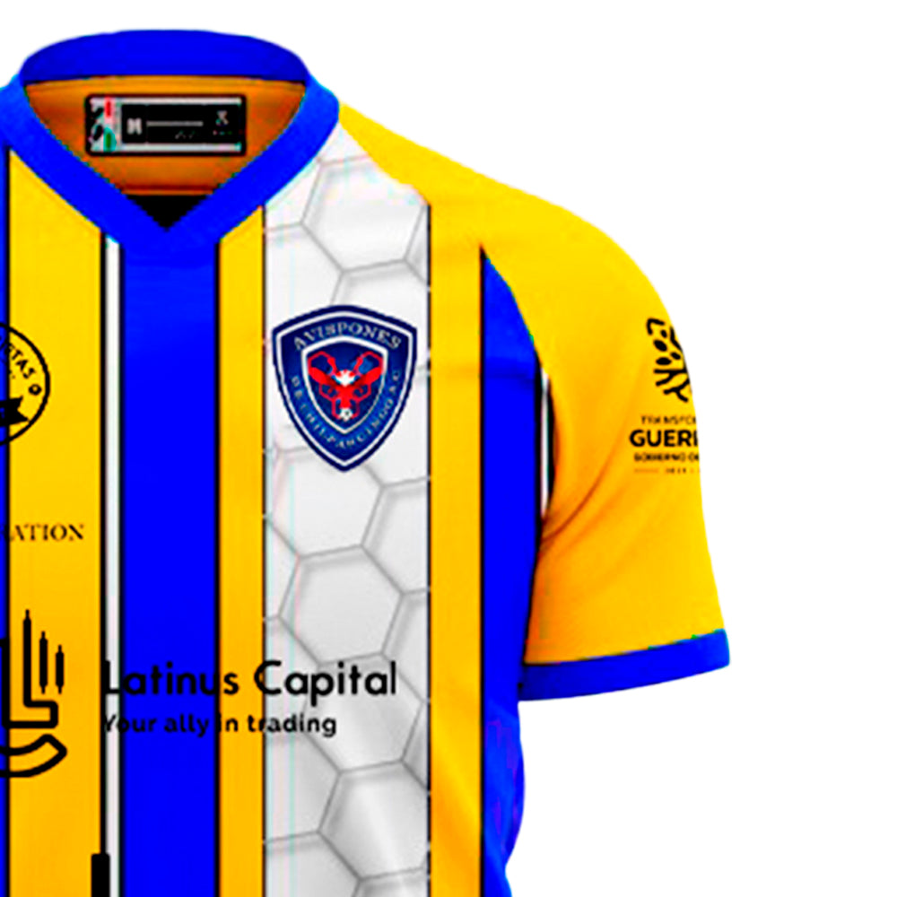 Avispones de Chilpancingo - Visitante