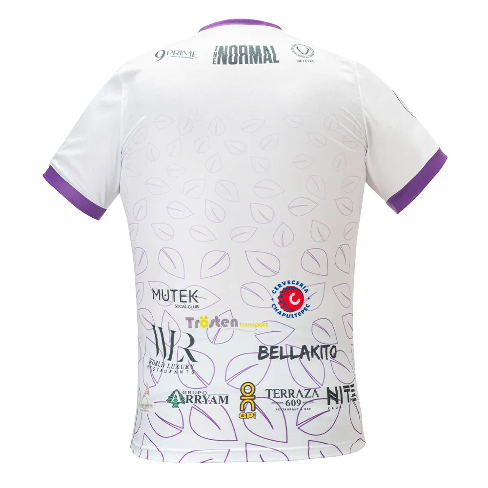 Artesanos Metepec FC 25 - Visita