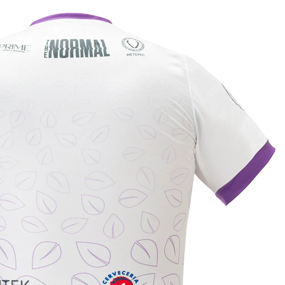 Artesanos Metepec FC 25 - Visita