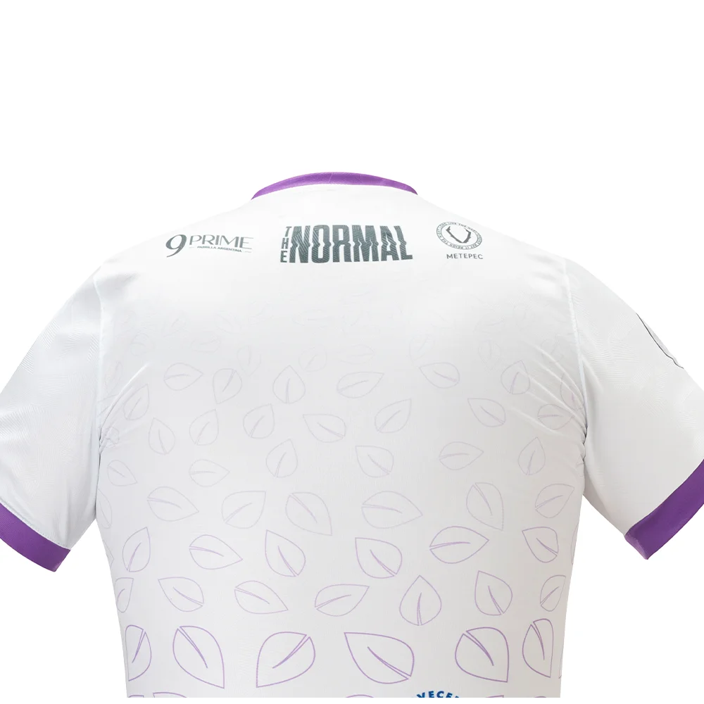 Artesanos Metepec FC 25 - Visita