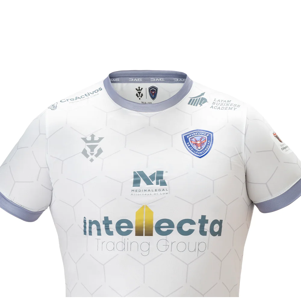 Avispones de Chilpancingo AC Visita