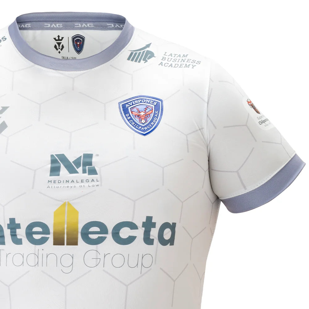 Avispones de Chilpancingo AC Visita